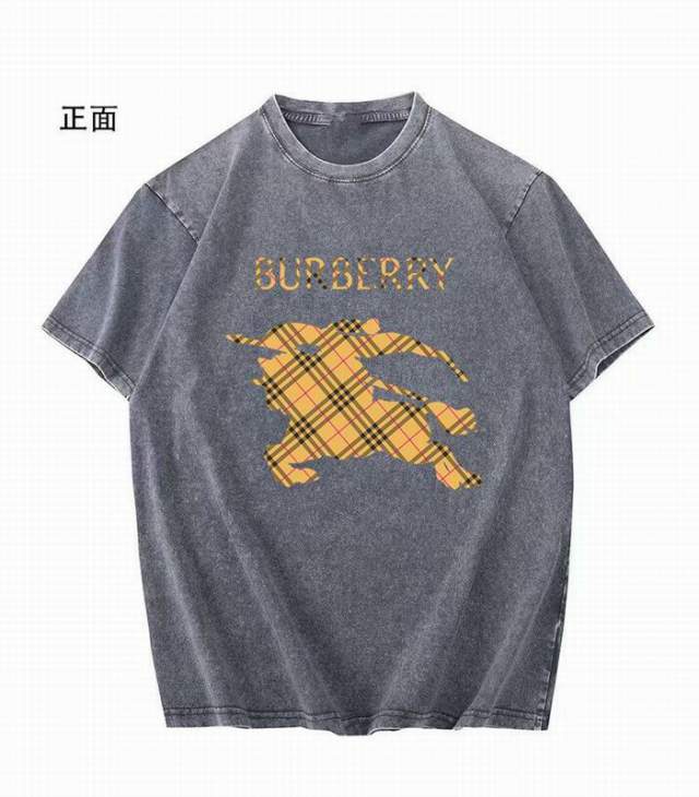 Picture of Burberry T Shirts Short _SKUBurberryM-4XL11Lr11520178